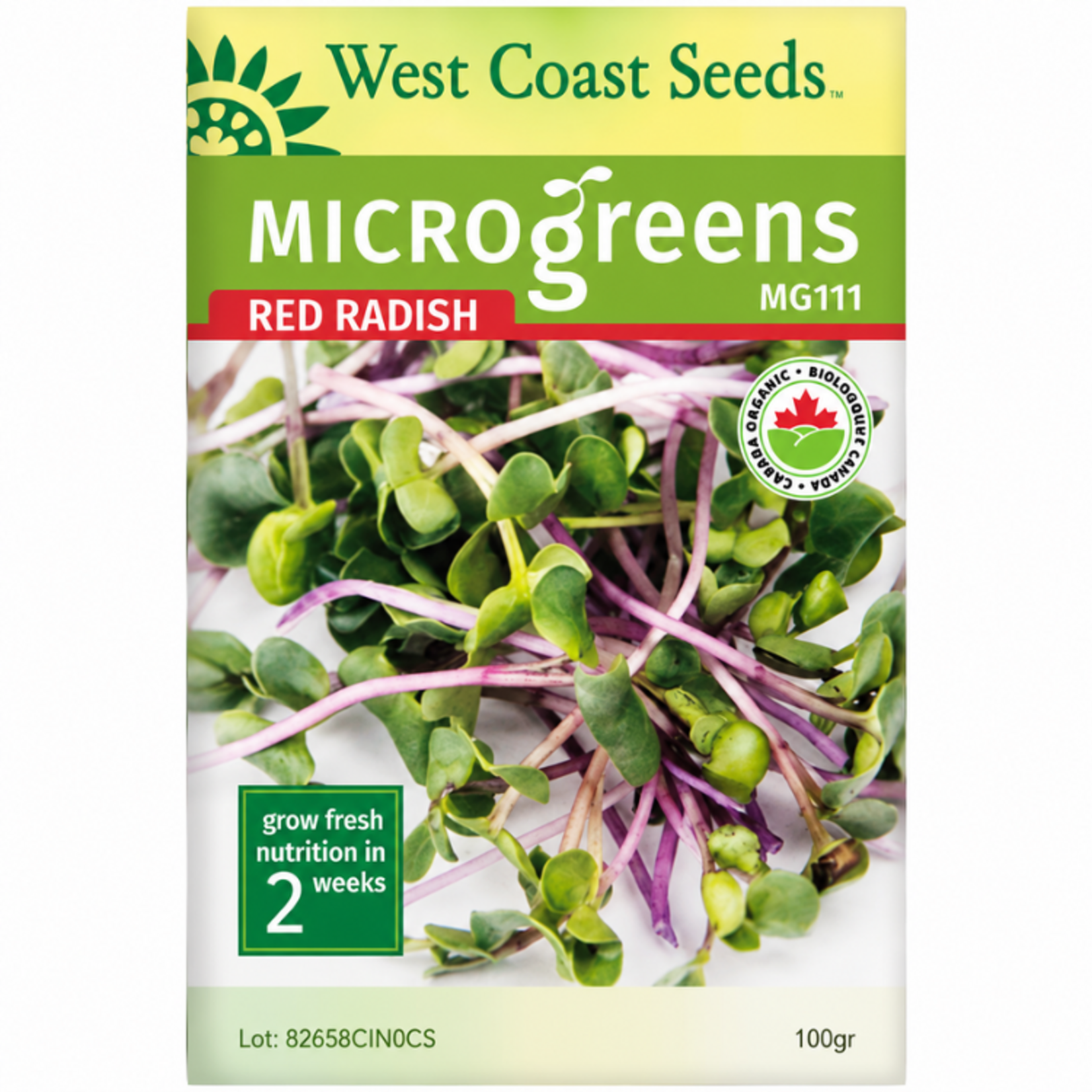 West Coast Seeds - Radishes - Microgreen Radish Organic