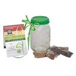 Sprouting Jar with Plastic Lid and Seed