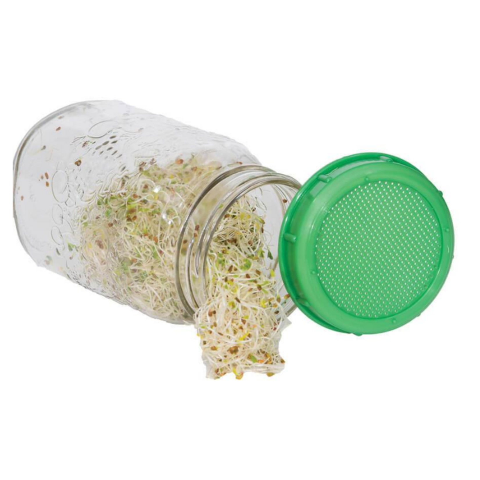 West Coast Seeds - Sprouting Jar with Plastic Lid and Seed