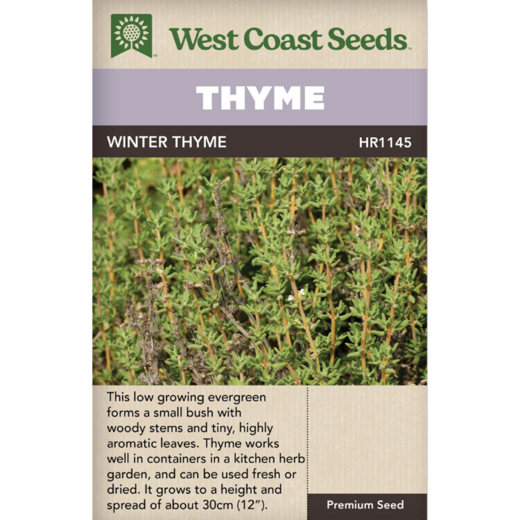 West Coast Seeds - Thyme - Winter Thyme