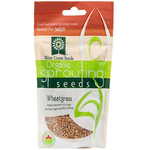 Wheat - Wheatgrass Organic