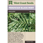 Mint - Peruvian Black Mint