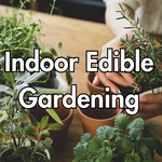Indoor Edible Gardening