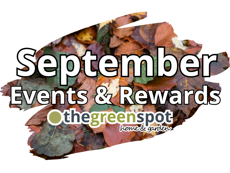 What's happening at The Green Spot in September 2026