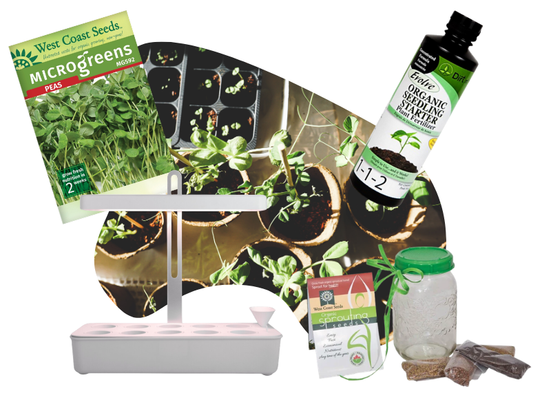 Indoor edible gardening supplies at The Green Spot