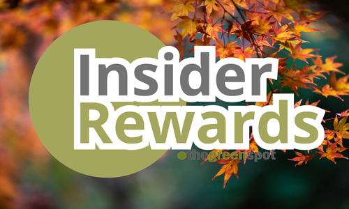 September Events and Insider Rewards