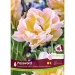 Double Early Tulip - Password 6pk