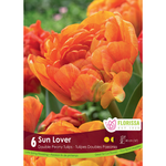 Double Late Tulip - Sun Lover 6pk