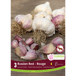 Hardneck Garlic - Russian Red 3pk