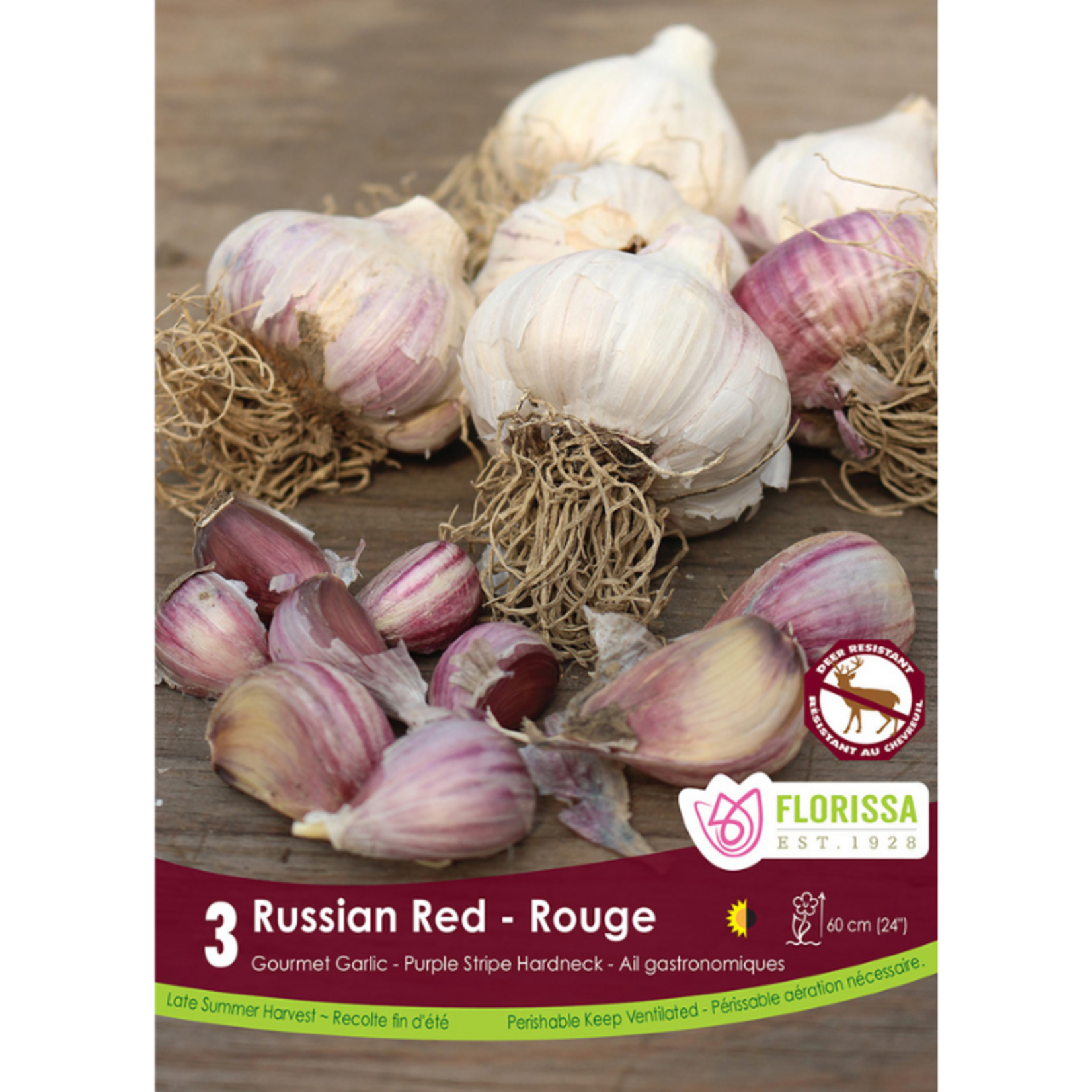 Florissa - Hardneck Garlic - Russian Red 3pk