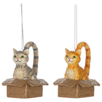 Cat in Box Ornament