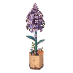 Wooden Bloom Craft Lilac