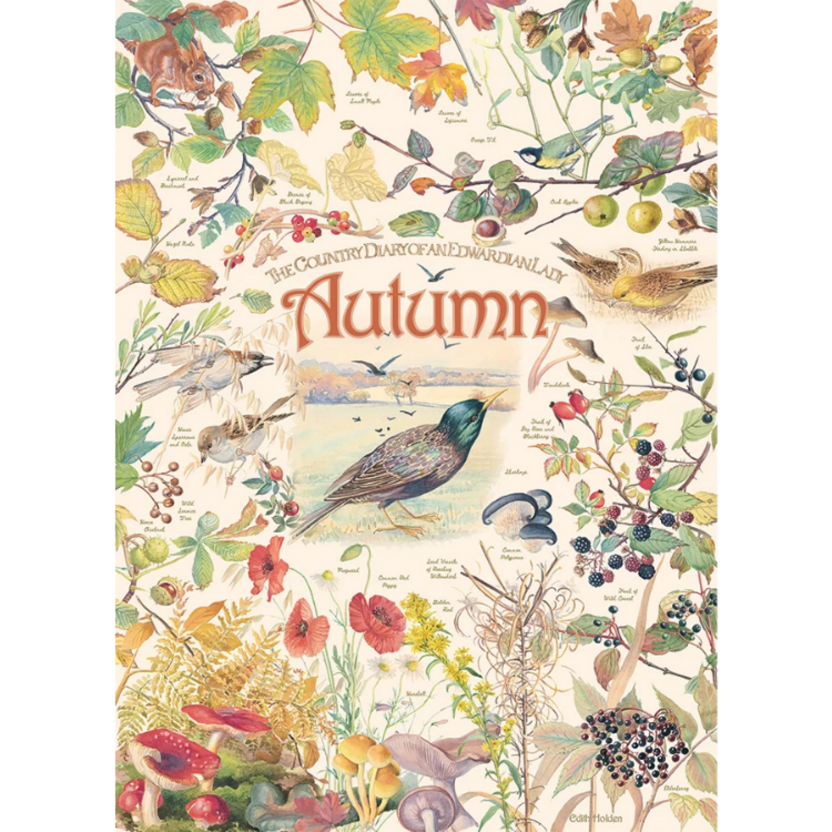 Cobble Hill Cobble Hill - 1000pcs - Country Diary: Autumn