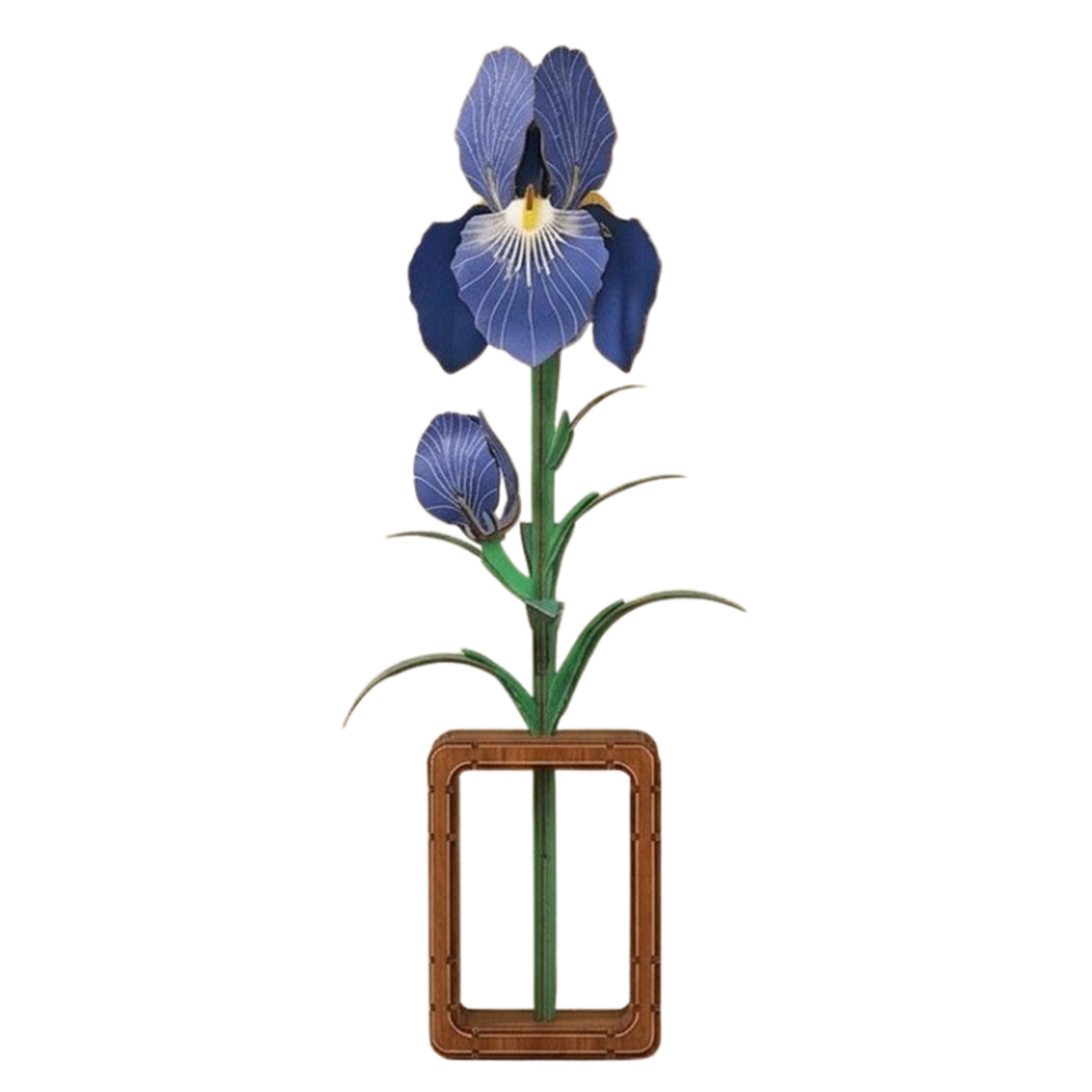 CuteBee CuteBee DIY Iris