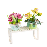 Spring Tulip Orchid