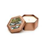 Root Candles Honeycomb Traveler Candle Japanese Cedarwood