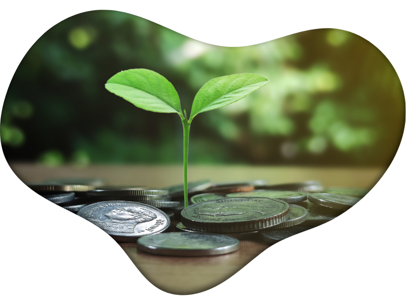 Raise Funds with The Green Spot