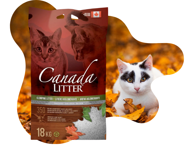 Save $5 on Canada Litter