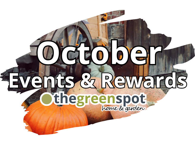 October events and promotions at The Green Spot