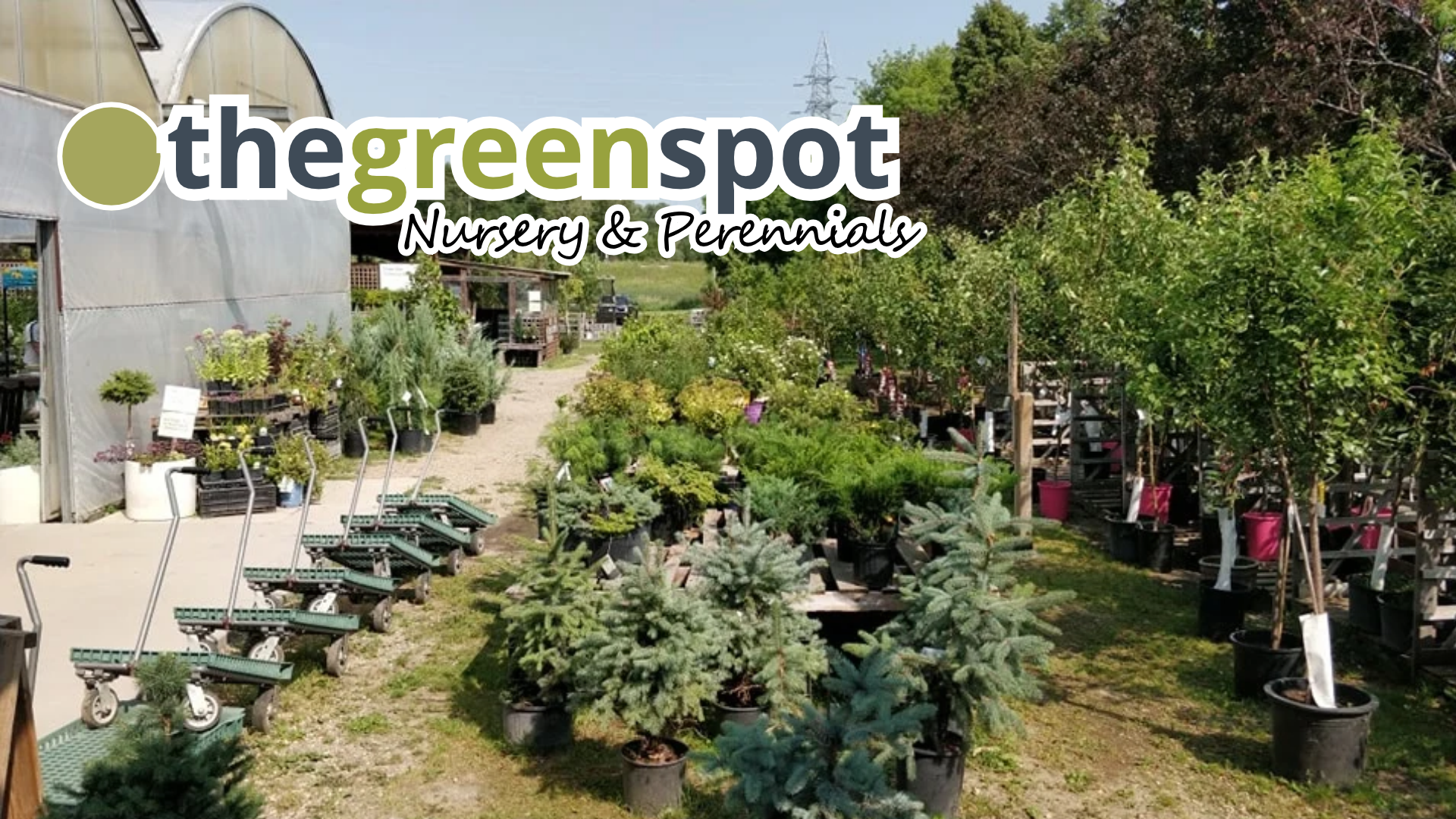 The Green Spot Nursery and Perennials