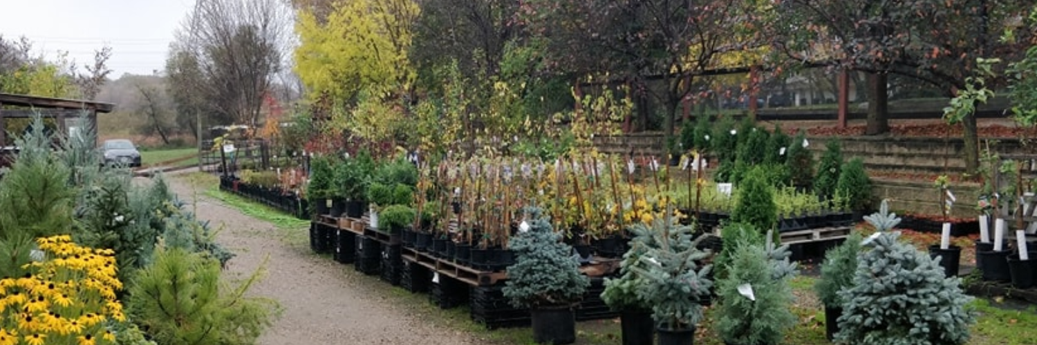 Explore our nursery