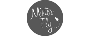 Mister Fly
