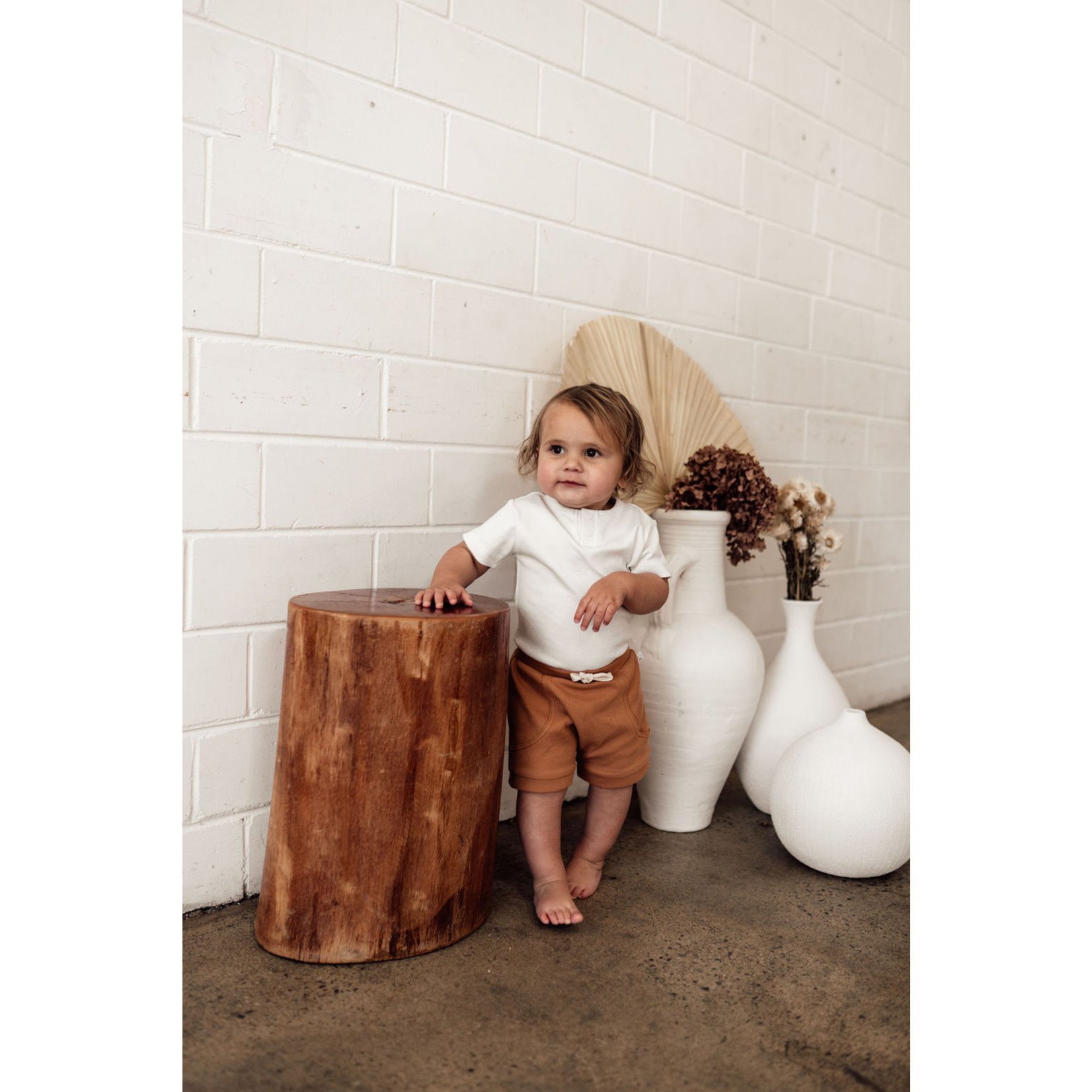 Snuggle Hunny Chestnut Shorts