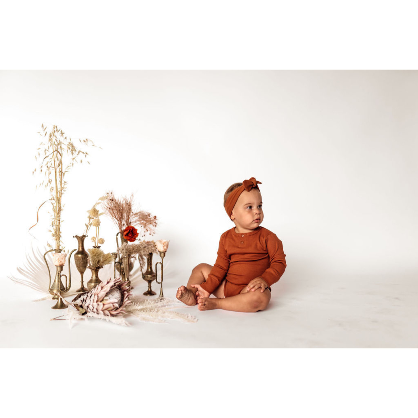 Snuggle Hunny Biscuit Long Sleeve Bodysuit