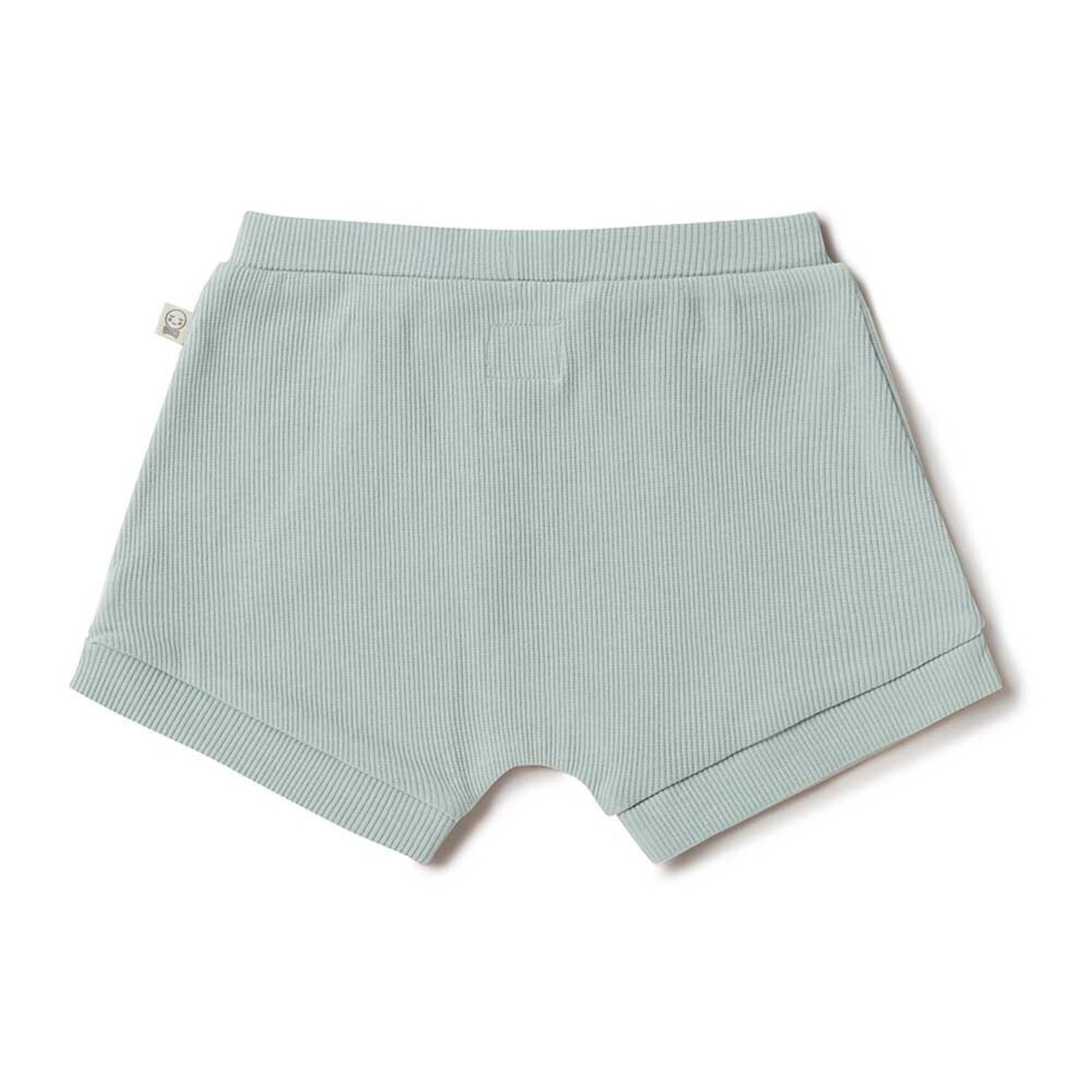 Snuggle Hunny Sage  Shorts