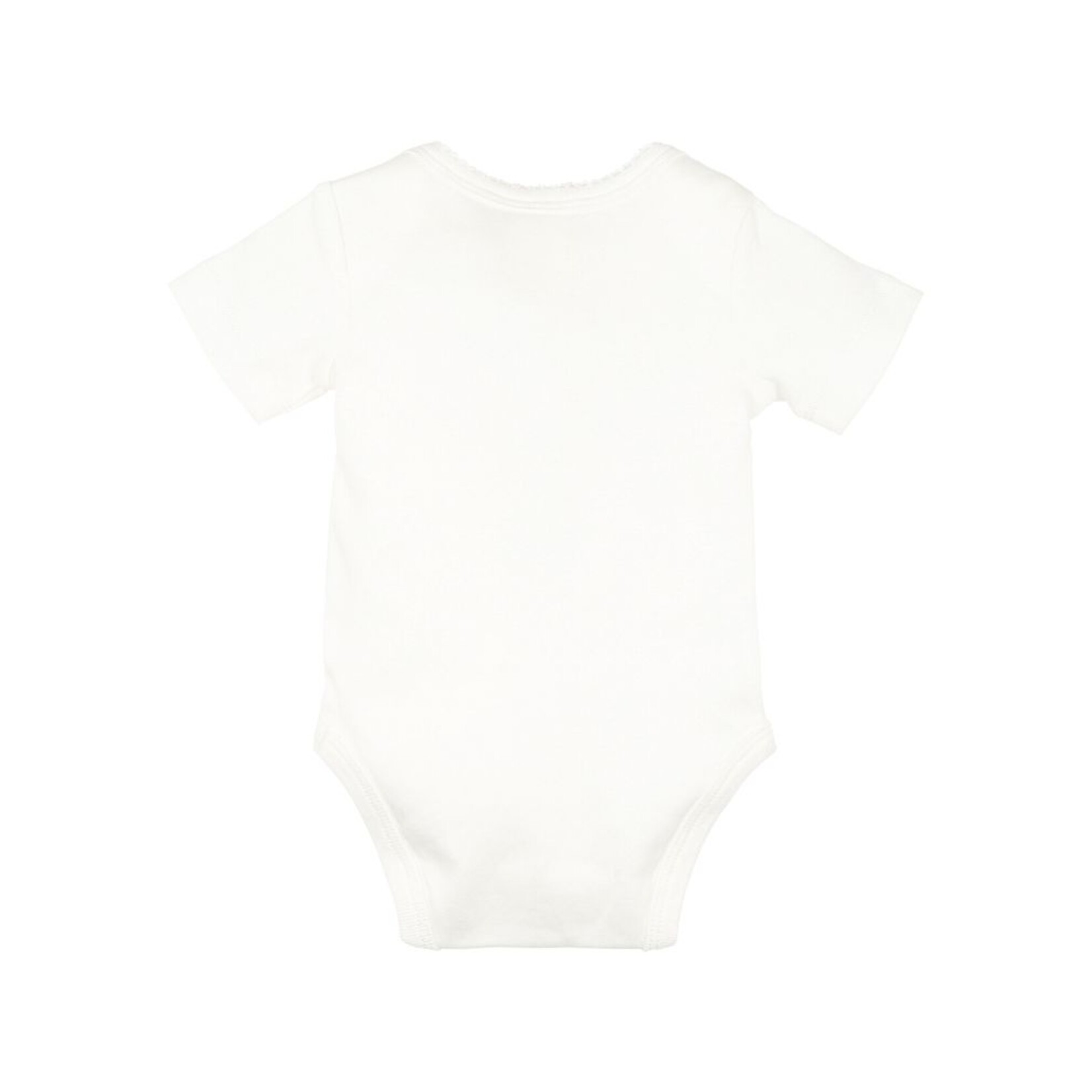 Bebe Morgan Teddy Bodysuit