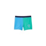 Green Panel Swim Short