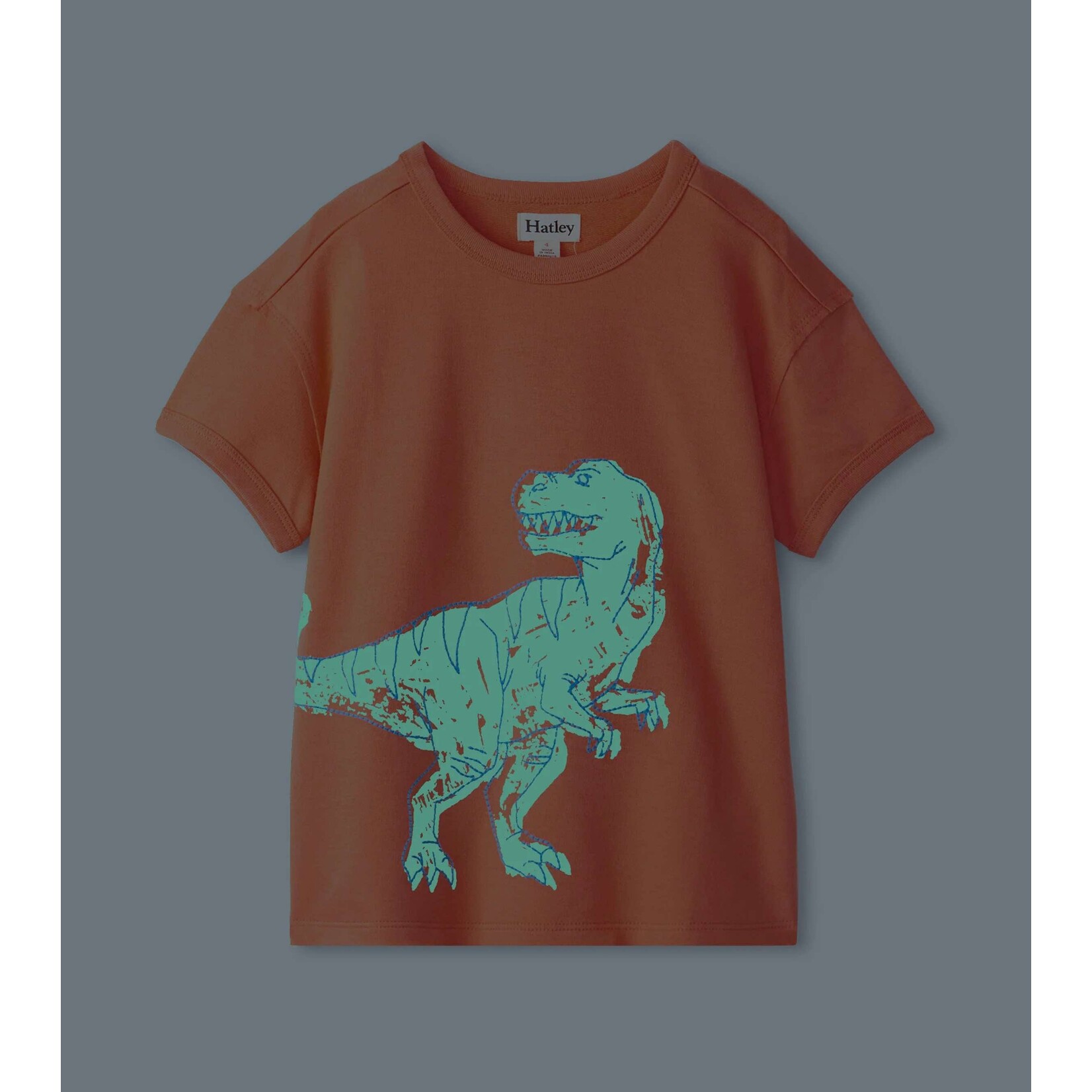 Hatley Dino Glow Ringer Tee