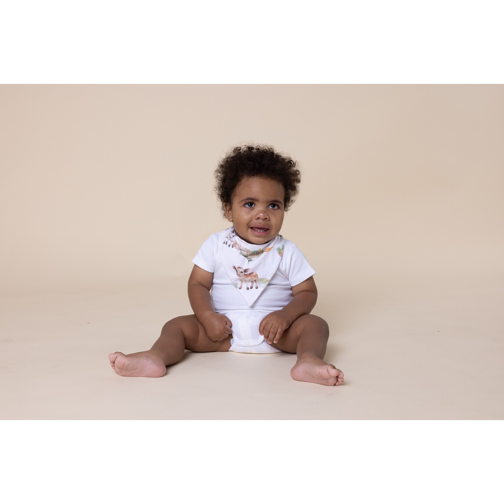 Snuggle Hunny Organic Dribble Bandana Bib Farm