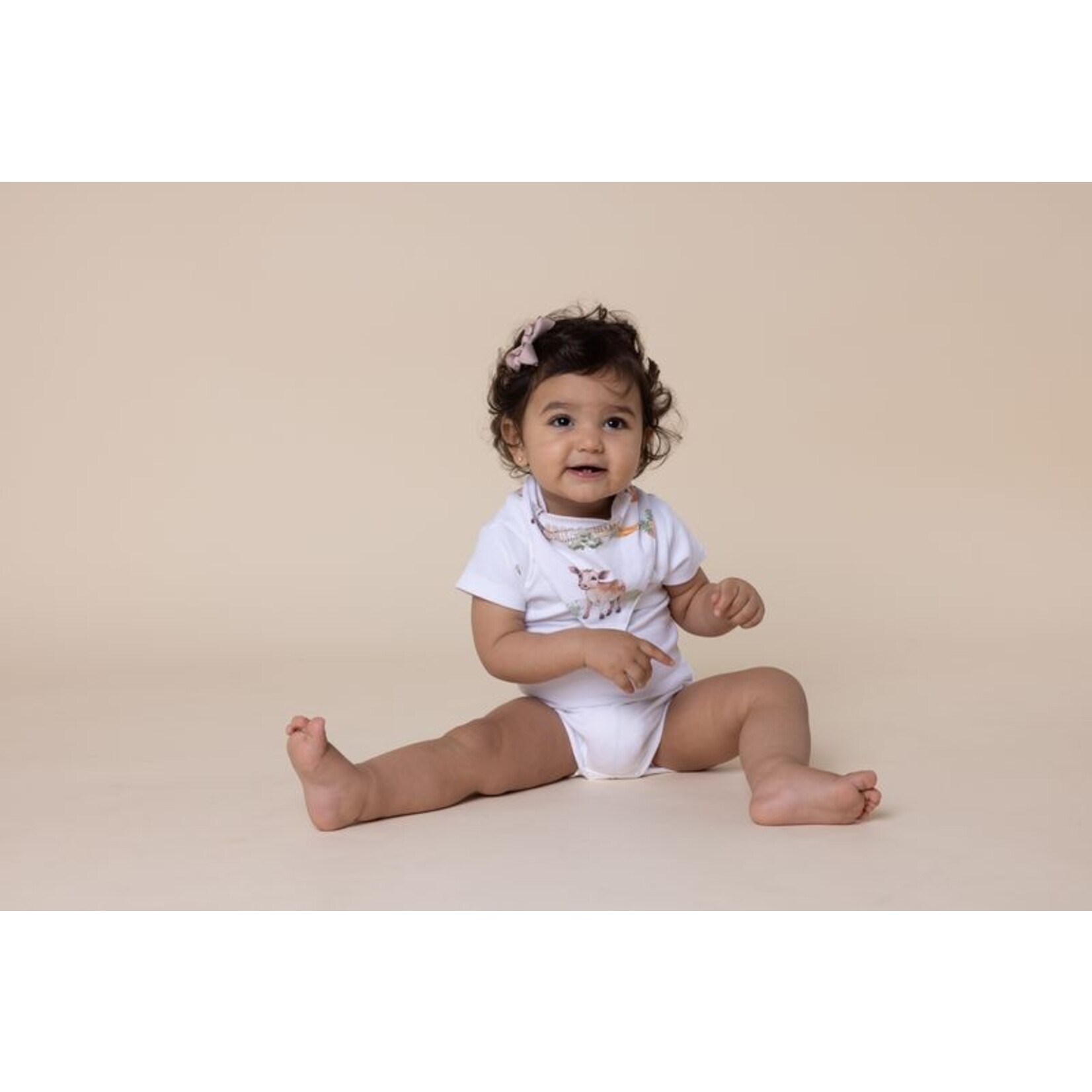 Snuggle Hunny Organic Dribble Bandana Bib Farm