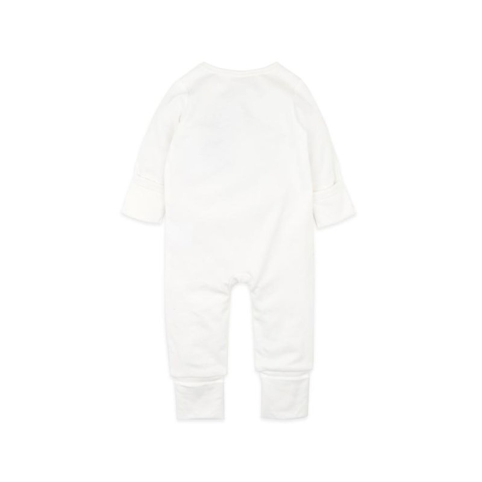 Bebe Australiana Organic Koala LS Zipsuit