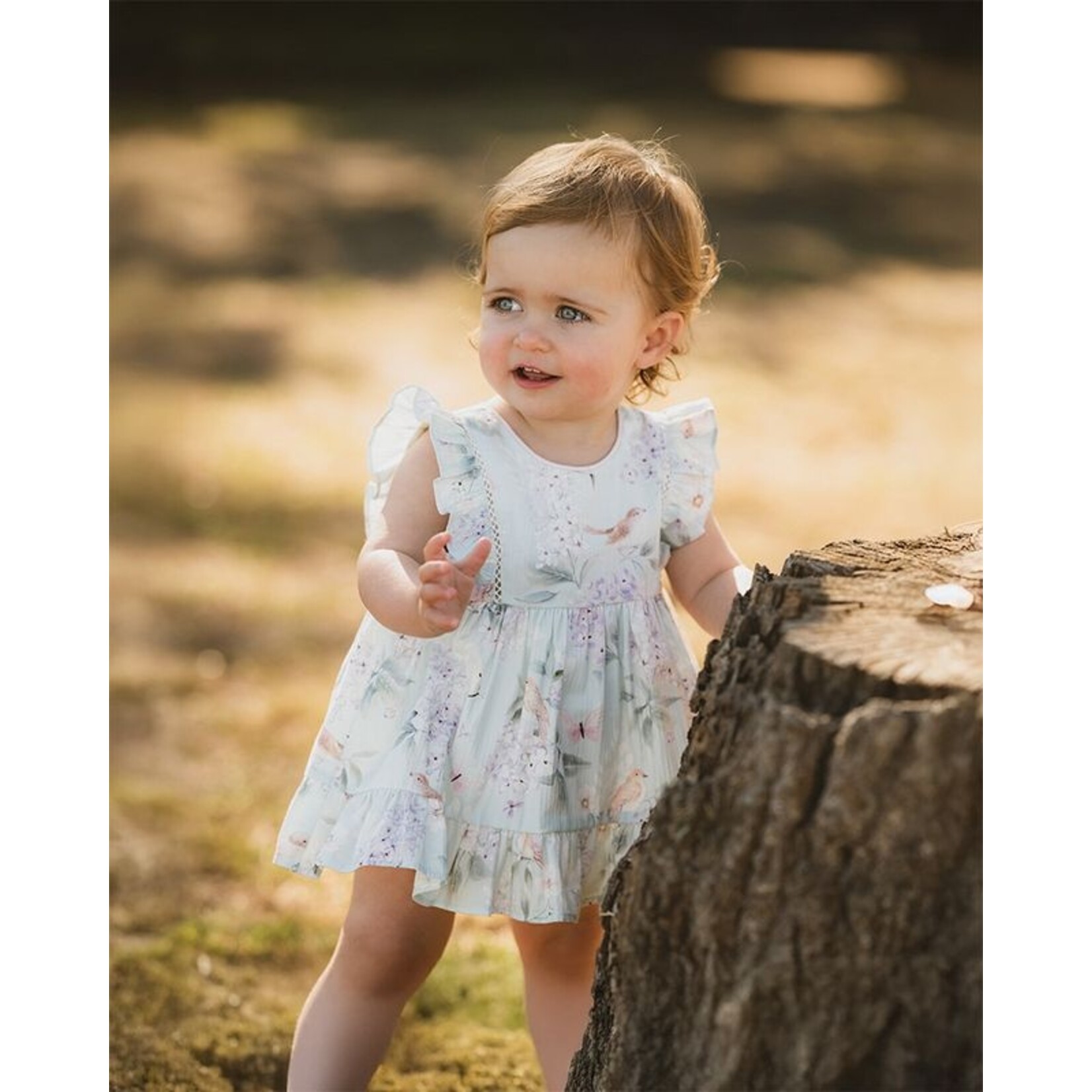 Bebe Madelyn Print Overlay Dress