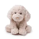 Petite Vous Monty the Labradoodle