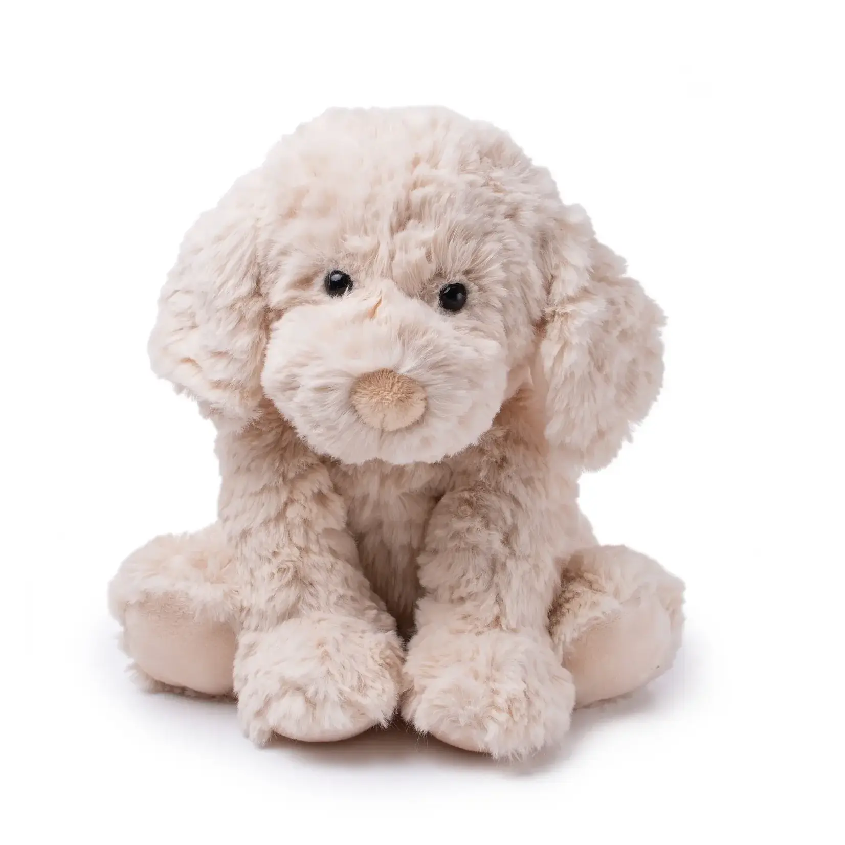 Petite Vous Monty the Labradoodle