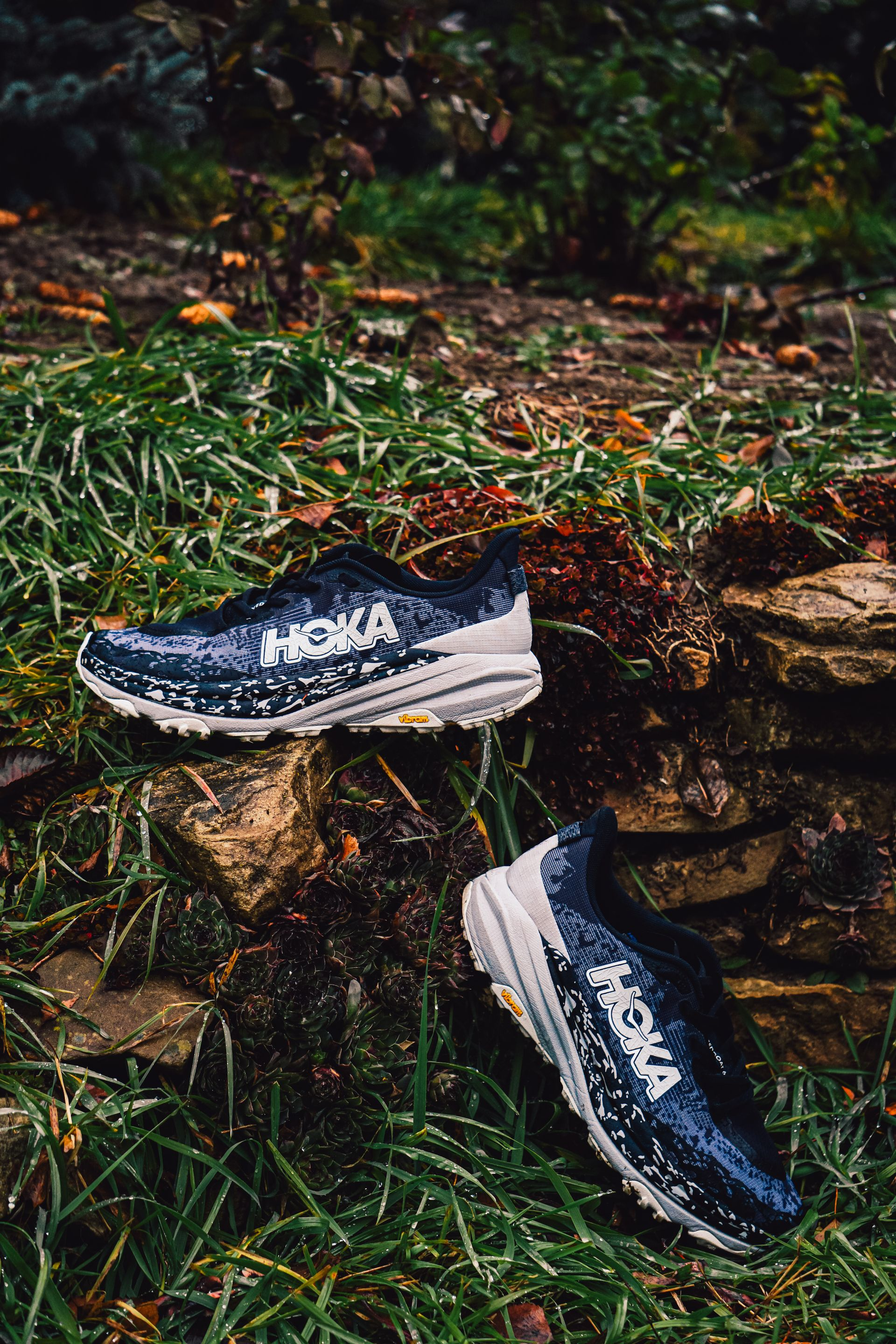 Top Picks From The Lounge