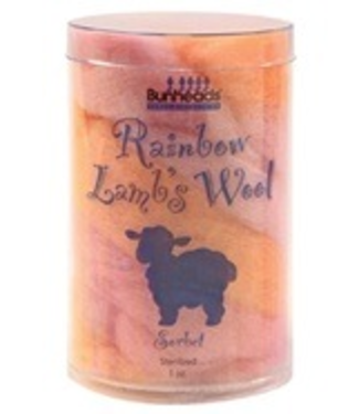 Capezio Capezio (BH401) Rainbow Lamb's Wool