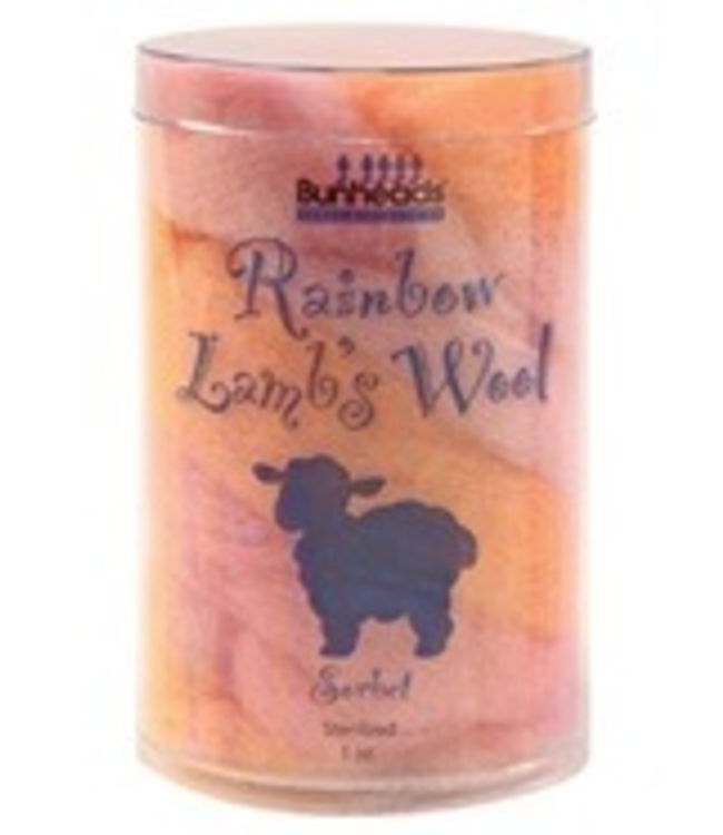 Capezio (BH401) Rainbow Lamb's Wool
