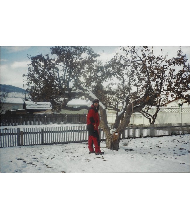 Fleece Lined Dog Musher Pants Waterproof Fabric w/ Bib- Custom made to your preferences and your needs-(Price goes up with each add on)