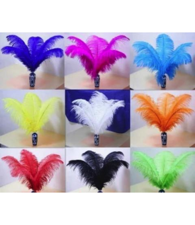 ZF Ostrich Feathers