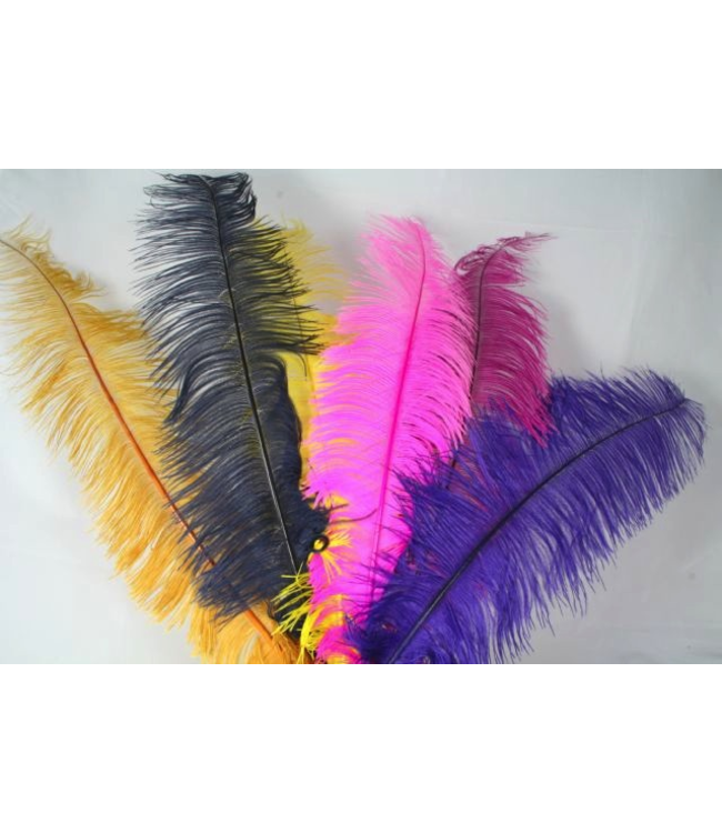 ZF Ostrich Feathers