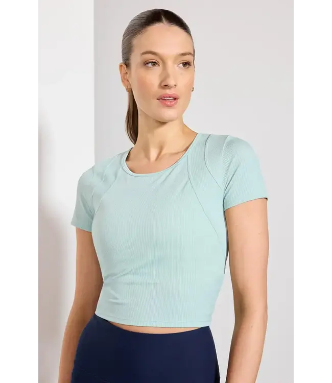 MPG Vivid Panelled Short Sleeve Tee -ON SALE ! !