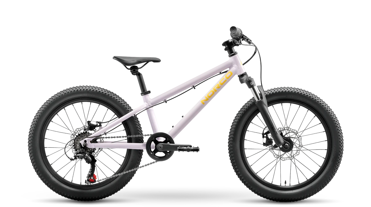 Norco Norco Storm 20