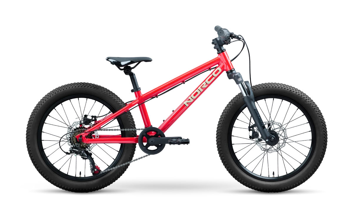 Norco Norco Storm 20