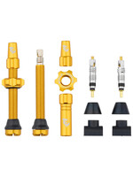 Wolf Tooth Wolf Tooth Tubeless Presta Valve Stem Kit 44mm Gold