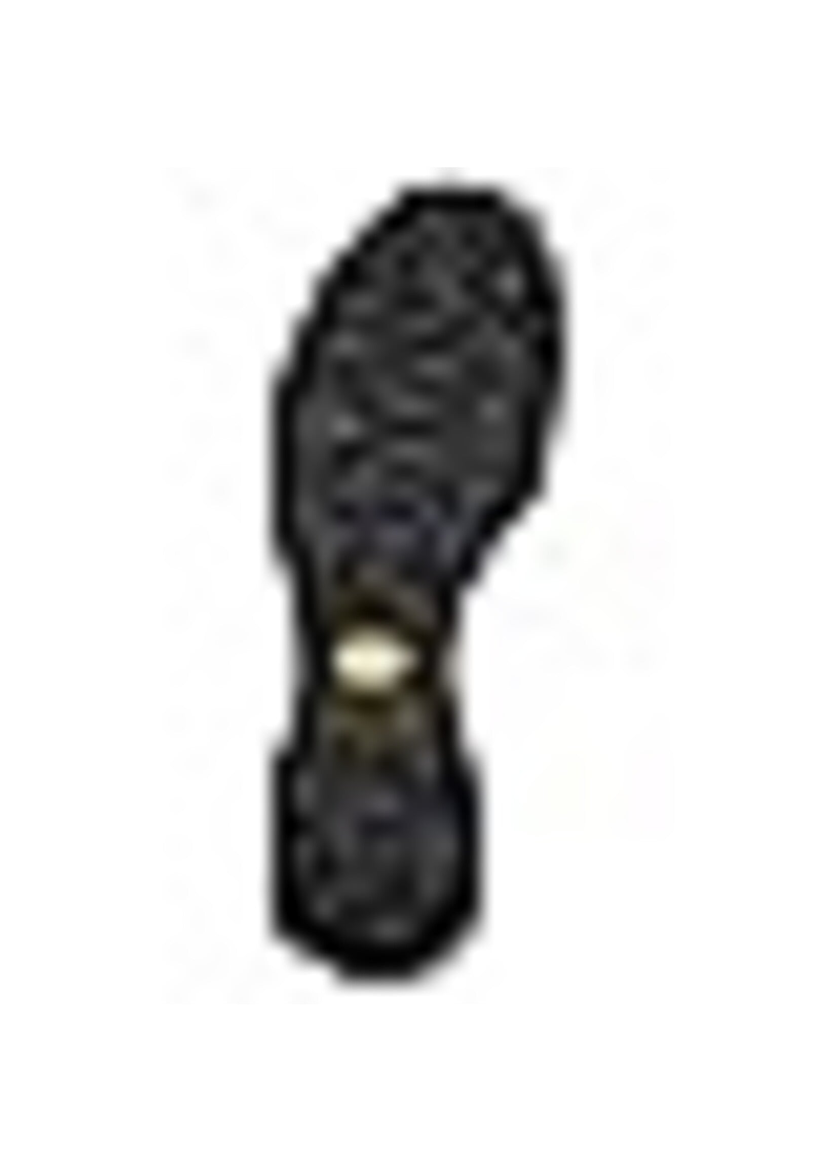 Vasque Vasque W St Elias FG GTX - Congnac