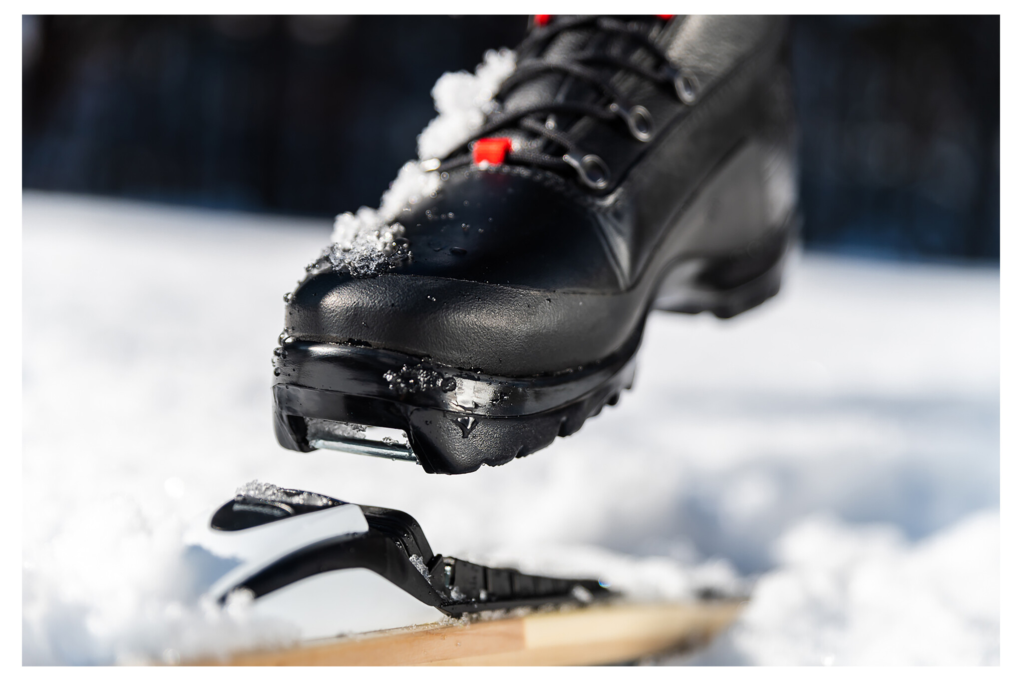Alpina Alpina DI VITAL Closeout